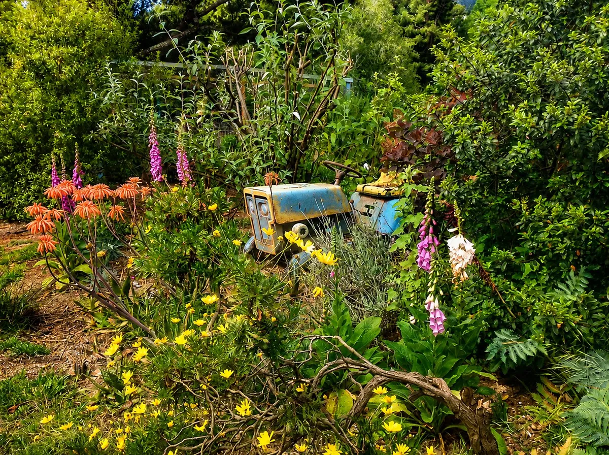 The garden at Pat's retreat space